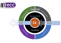 Excelling at Customer Centricity: The ECC Programme